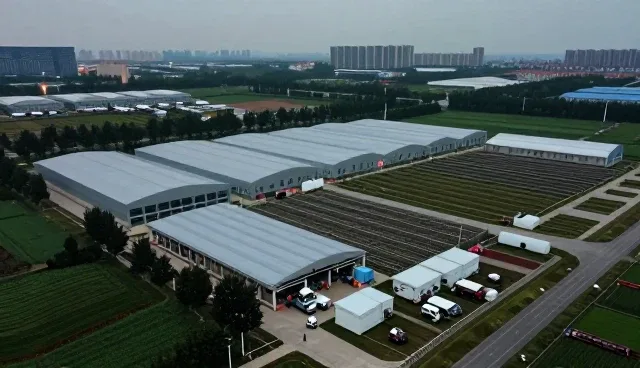如何优化包装配送中的销售策略与维护流程